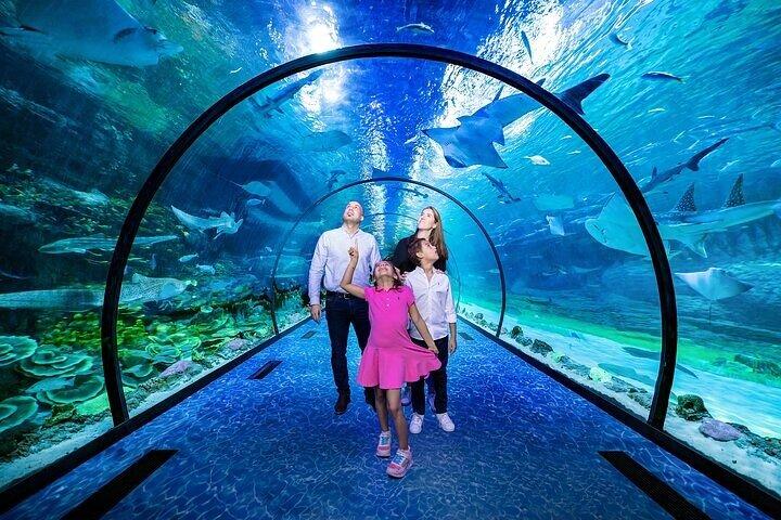 Billet pour l'aquarium national d'Abou Dabi avec transport facultatif