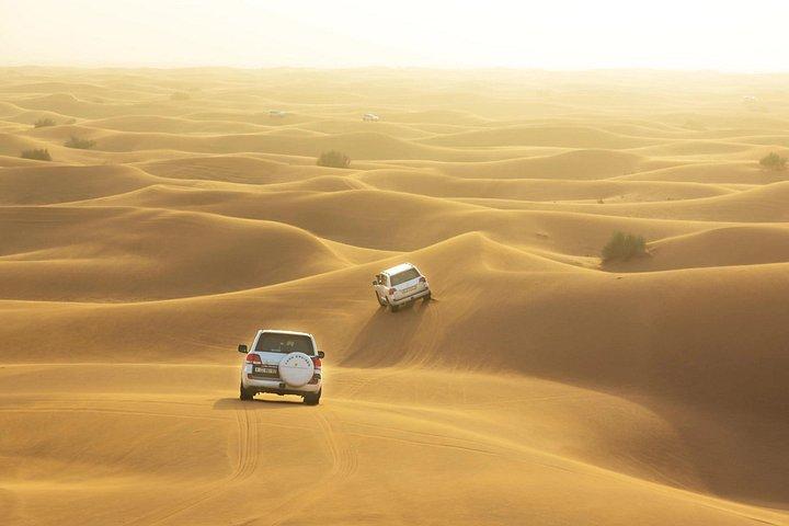 Safari dans le désert de Dubaï avec promenade à dos de chameau, dîner et divertissement en direct