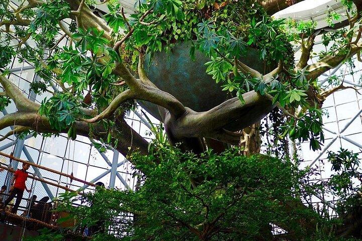 Billet pour The Green Planet à Dubaï
