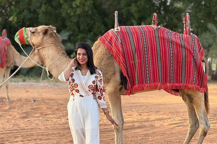 Safari dans le désert du matin arabe Dubai Camel Riding