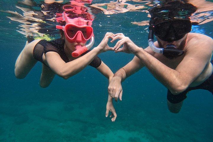Aventure privée de plongée en apnée à Dibba Musandam