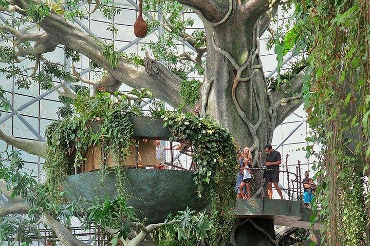 Billet d'entrée pour le Green Planet de Dubaï
