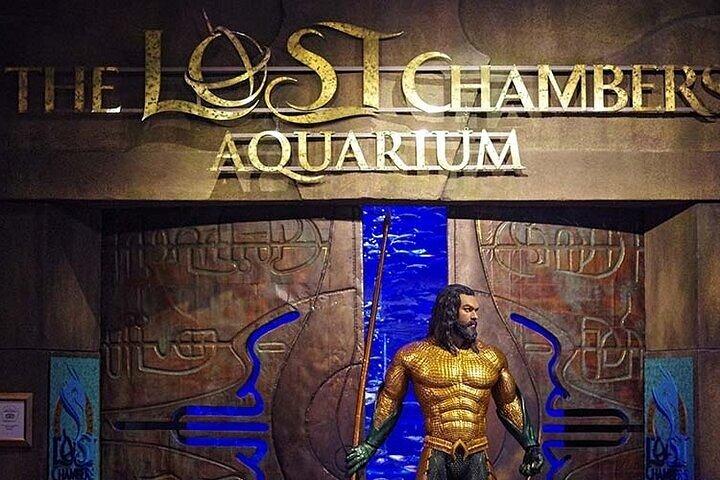 Billet pour l'aquarium Atlantis de Dubaï Lost Chamber avec transfert en option