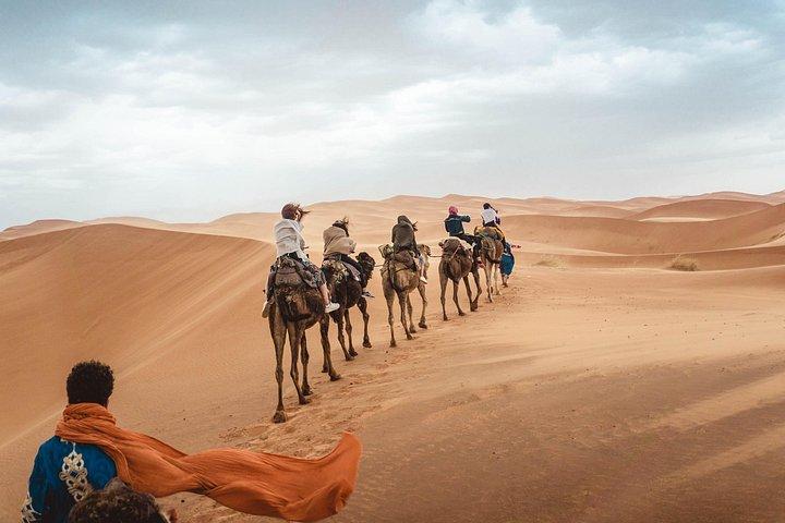 Balade à dos de chameau, Bain de dunes, Ski de sable, Boissons
