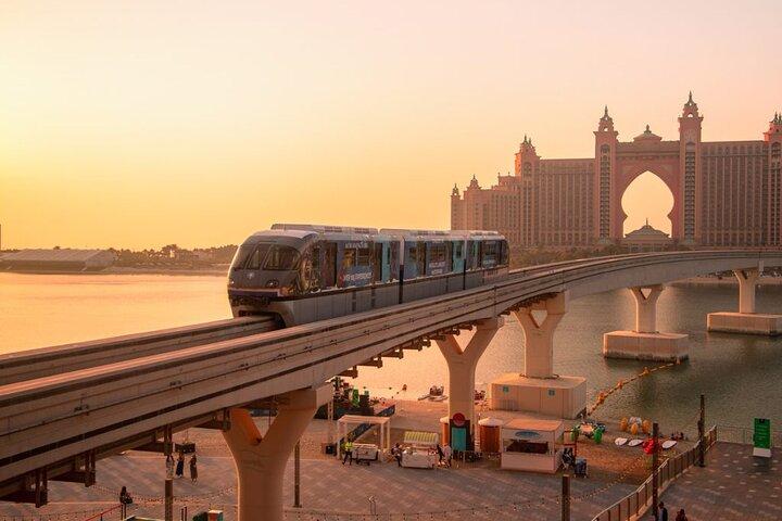 Billet Atlantis Palm Monorail