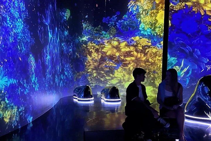 Visite privée de 4 attractions à Dubaï avec billets d'entrée