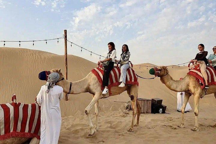 Camel Ride Dubai