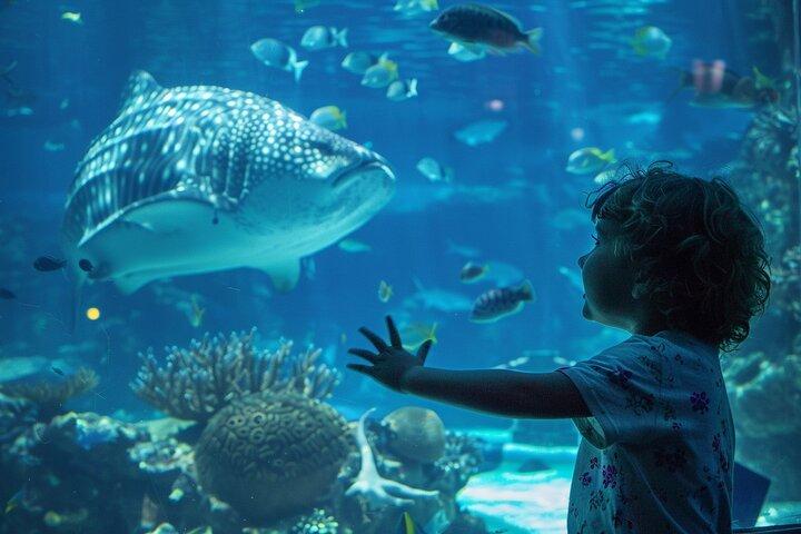 Billet d'entrée à l'Aquarium National Abu Dhabi