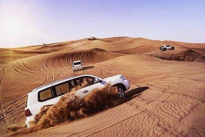 Safari matinal dans le désert Balade en chameau Bashing de dunes et embarquement de sable