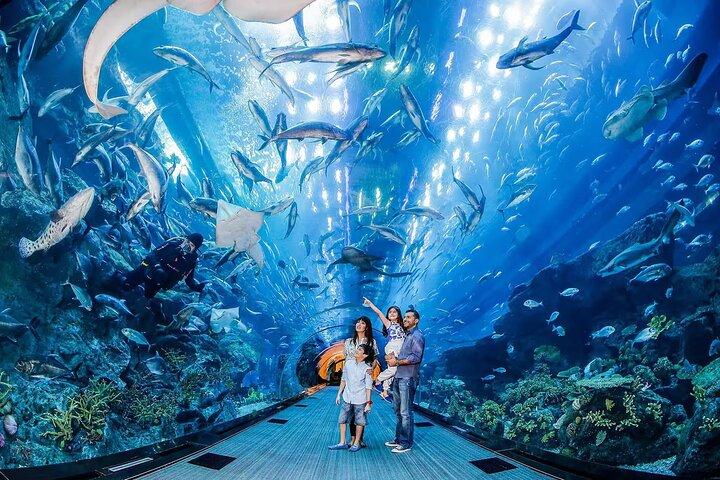 Dubaï Aquarium & Zoo sous-marin Billet d'entrée