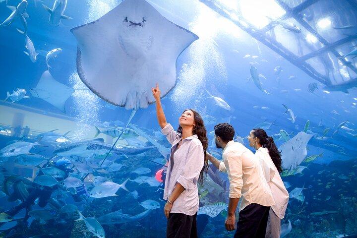 Burj Khalifa 124+125 & Dubai Aquarium
