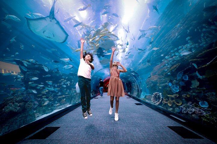 Burj Khalifa 124+125 & Dubai Aquarium