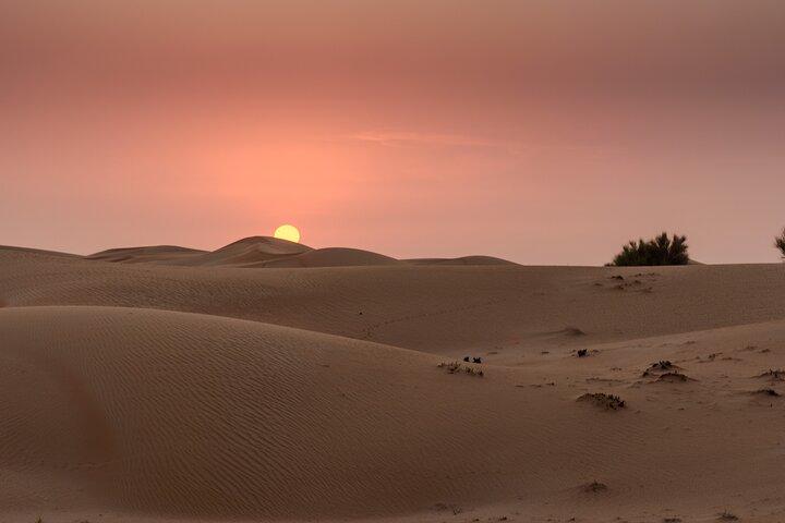 Dubaï Desert Safari Dune Bashing, promenades à dos de chameau et dîner barbecue .