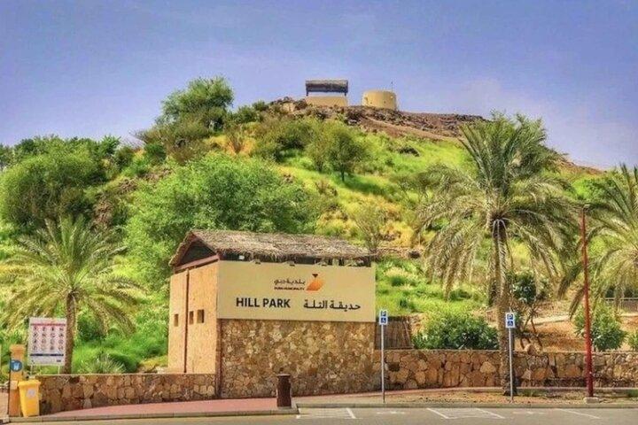 Visite privée en voiture de luxe Hatta 4WD au départ de Dubaï