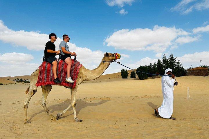 Abu Dhabi: Expérience privée de randonnée à dos de chameau