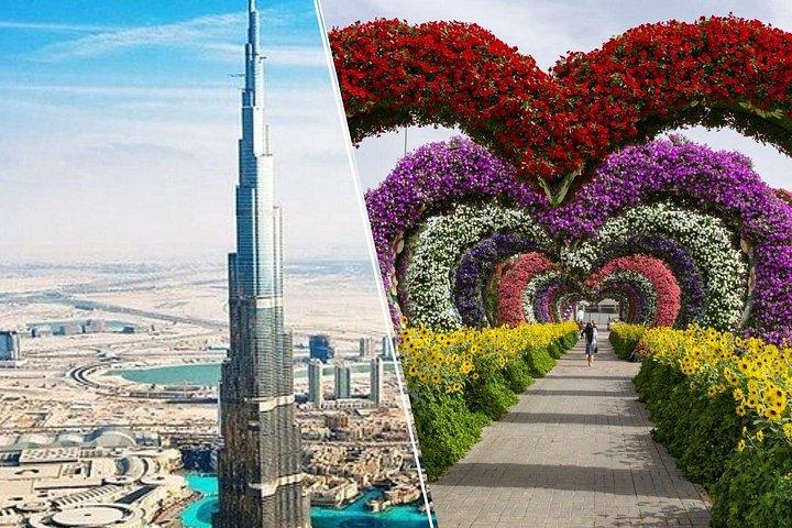 Visite de la ville d'une demi-journée et billets Miracle Garden uniquement