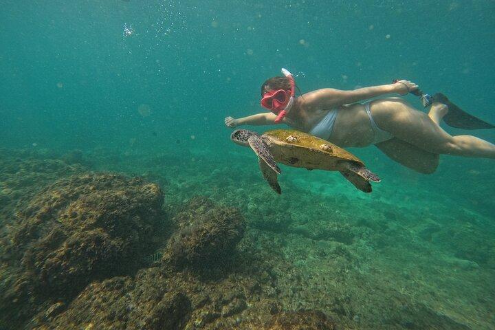 Journée complète : Excursion de plongée en apnée à Dibba Musandam dans plusieurs endroits
