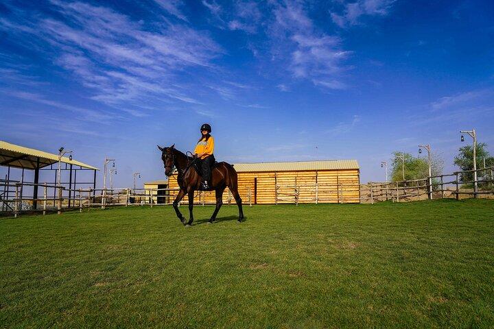 Dubaï Al Marmoom Oasis Horse Horse Equitation Experience avec Snack