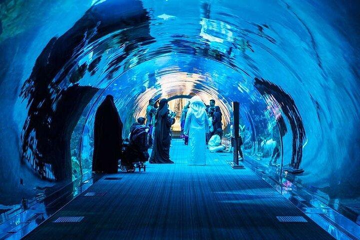 Dubaï Aquarium et billet de zoo sous-marin avec Penguin Cove