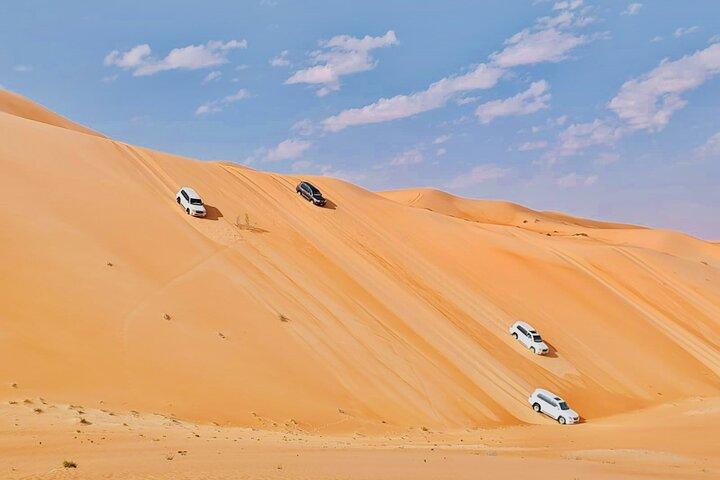 Private Liwa Desert Adventure : Excursion d'une journée en 4x4 au départ d'Abou Dabi