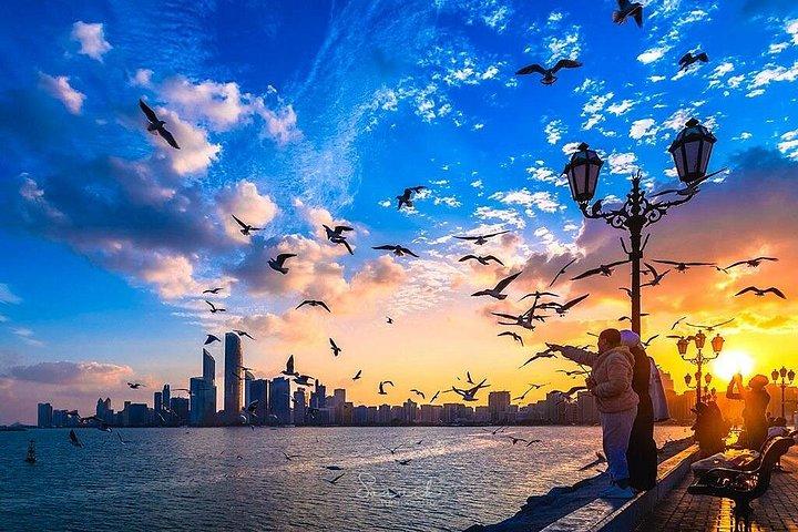 Excursion d'une journée à Abu Dhabi avec guide parlant anglais