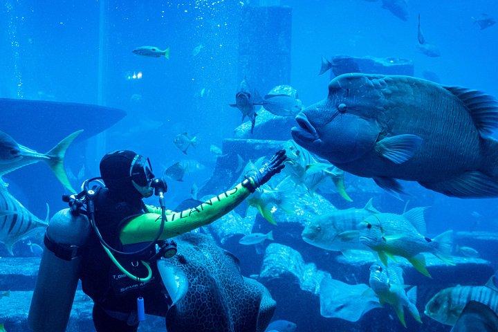 Billets pour les chambres perdues dans l'hôtel Atlantis