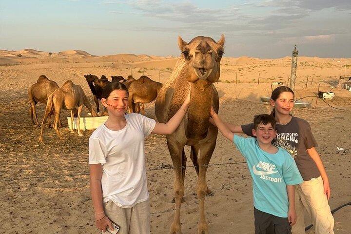 Excursion tout-en-un à Dubaï Abu Dhabi et safari en soirée dans le désert