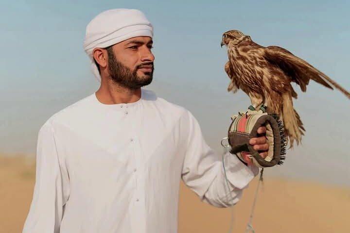 Excursions en safari partagées à Dubaï