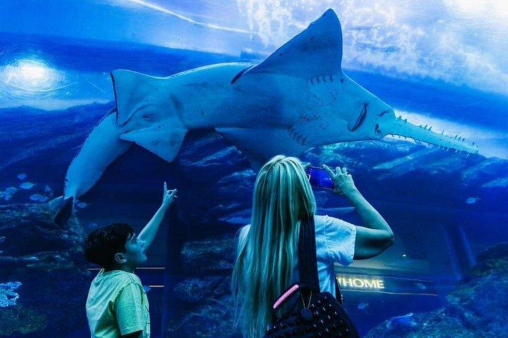 Burj Khalifa, aquarium de Dubaï et expérience de visite du zoo sous-marin