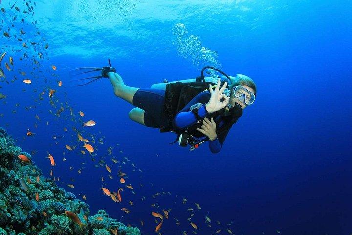 Plongée sous-marine Dubaï