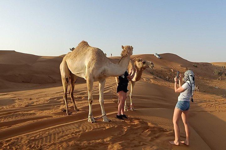 Safari privé dans le désert du matin de Dubaï : Dune Bashing & Camel Ride