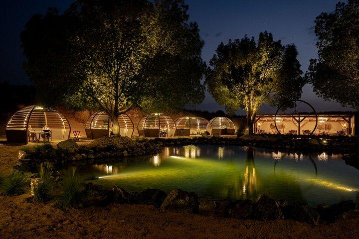 Desert Oasis Camp