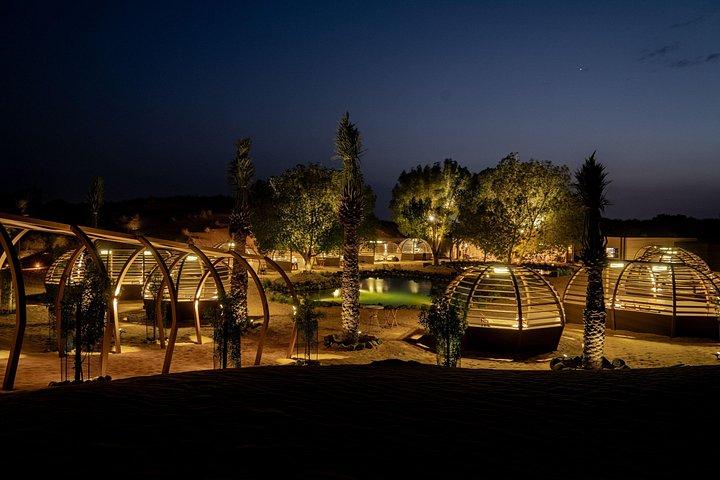Desert Oasis Camp