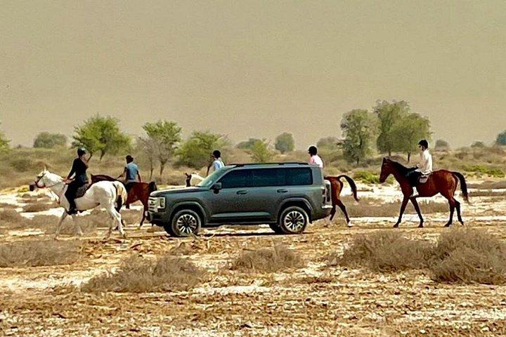 Visite de Dubaï à horaire flexible avec chauffeur privé