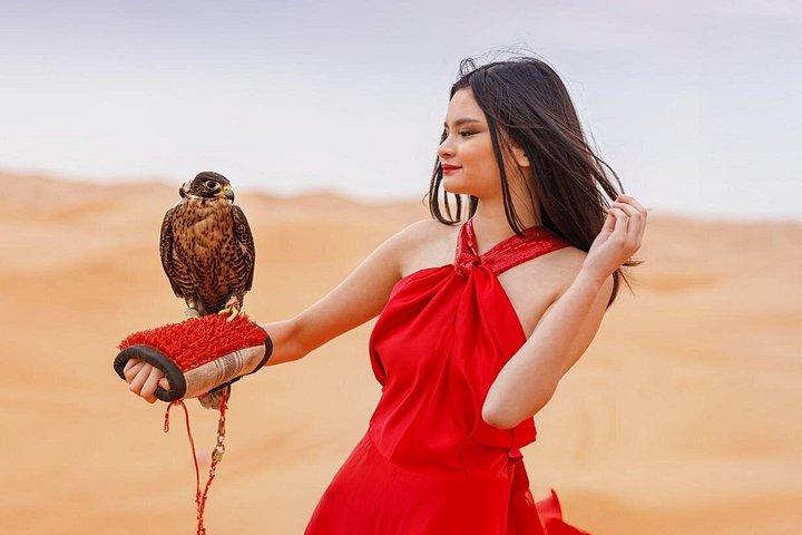 Falcon Photo