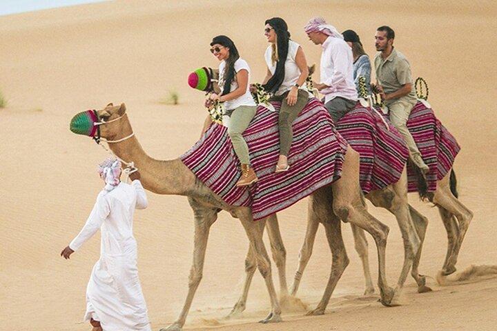Combo VIP : visite de la ville de Dubaï, safari dans le désert et excursion d'une journée à Abu Dhabi