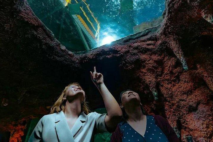 Entrée à l’Aquarium National Abu Dhabi – Ocean Adventure