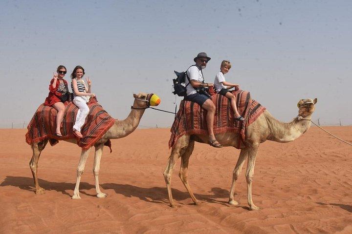 Safari dans le désert de Dubaï et balade en quad avec dîner buffet