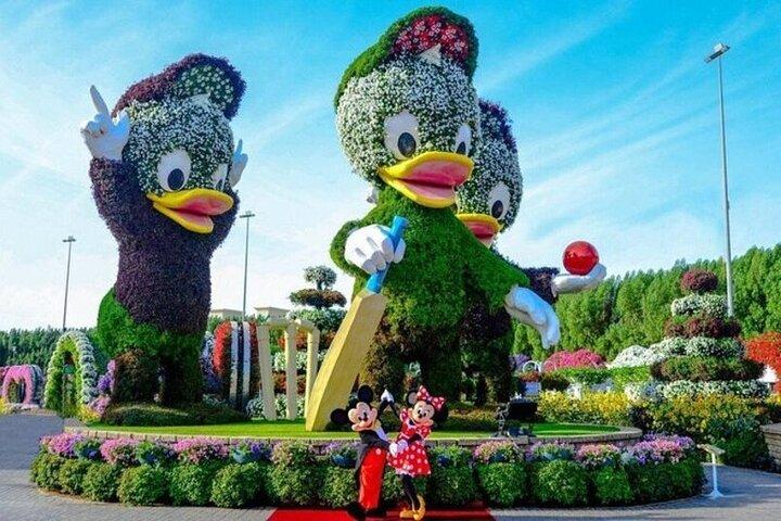Billet d'entrée Dubaï Miracle Garden avec options