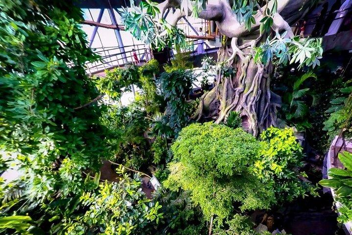 Green Planet Dubai – Le dôme intérieur de la forêt tropicale et de la faune