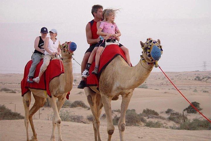 Excursion safari dans le désert du matin à Dubaï avec quad