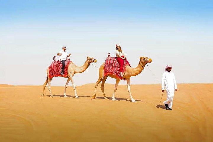 Dubaï Desert Adventure Dune Safari Balade à dos de chameau BBQ & Stargazing