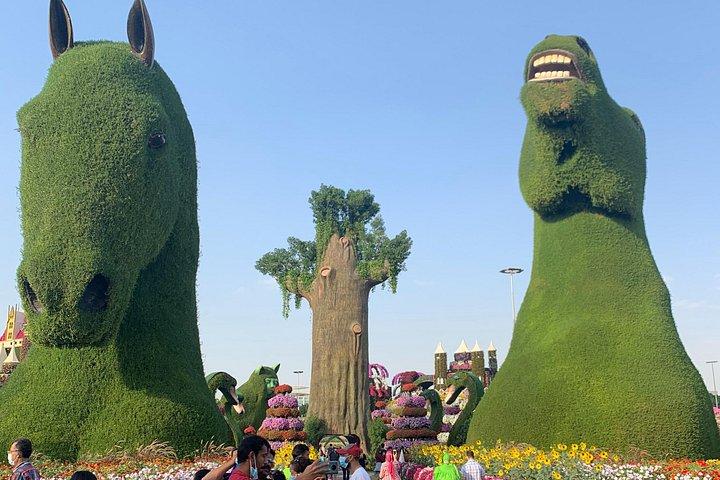 Miracle Garden Global Village avec transport depuis Fujairah