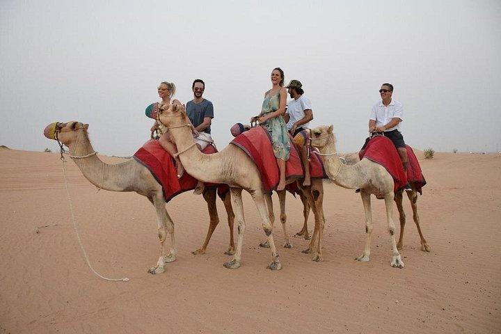 Safari privé de 30 minutes à Dubaï