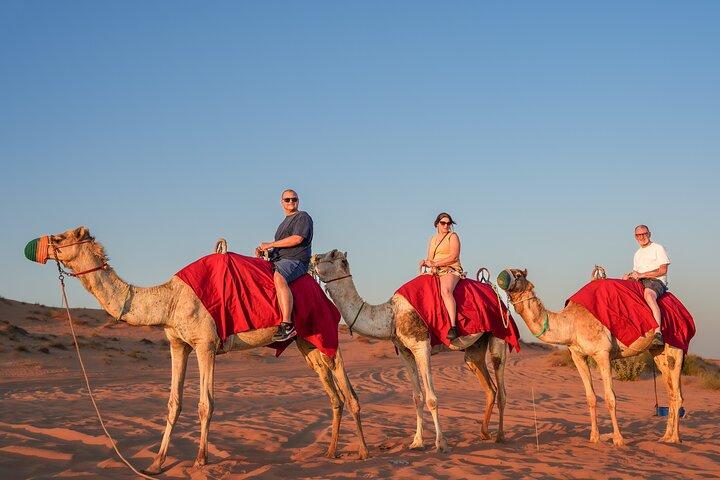 Trekking premium à Dubaï Red Dune Camel, Safari dans le désert et barbecue