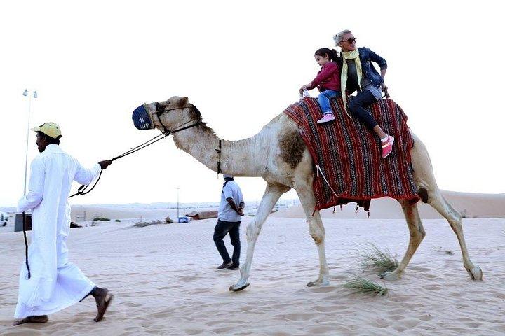 Excursion privée de 30 minutes en safari à Ras Al Khaimah