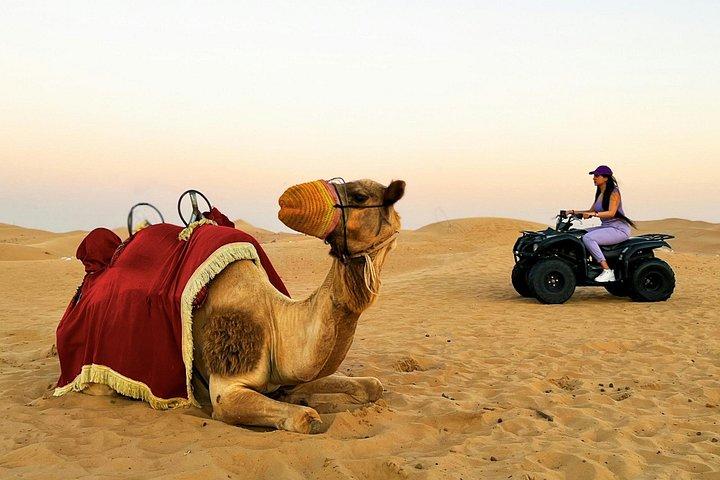 Safari dans le désert en soirée à Abu Dhabi avec spectacles vivants et dîner barbecue