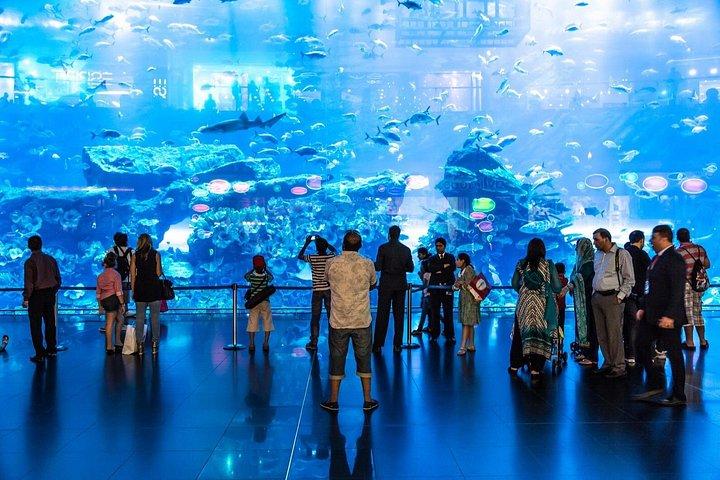 Aquarium de Dubaï et zoo sous-marin avec billets Penguin Cove