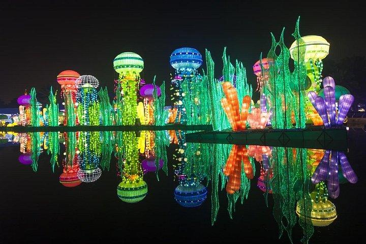 Dubaï Garden Glow