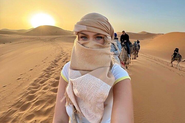 Safari dans le désert du matin d'Aboudhabi + Bashing des dunes, promenade à dos de chameau